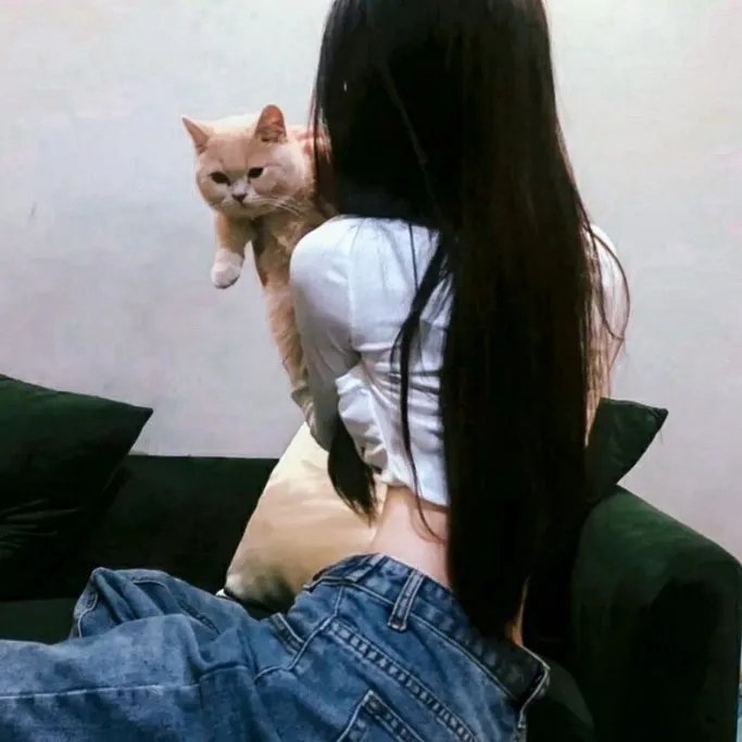 疯狂情愈日记
